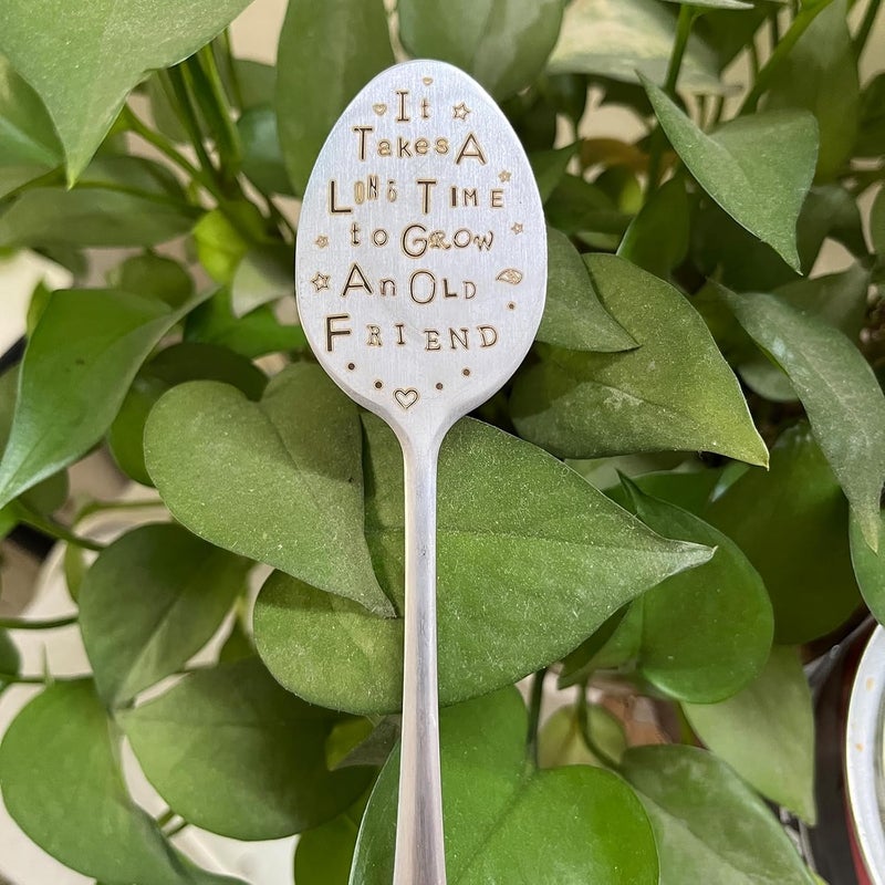 PLWalker Garden Plant Marker Friendship Gift for Women Gardeners, Plant Stake Label Sign Tag Gardening Gifts for Woman Plant Lovers, Metal Garden Decoration (Grow an Old Friend) - Image 3
